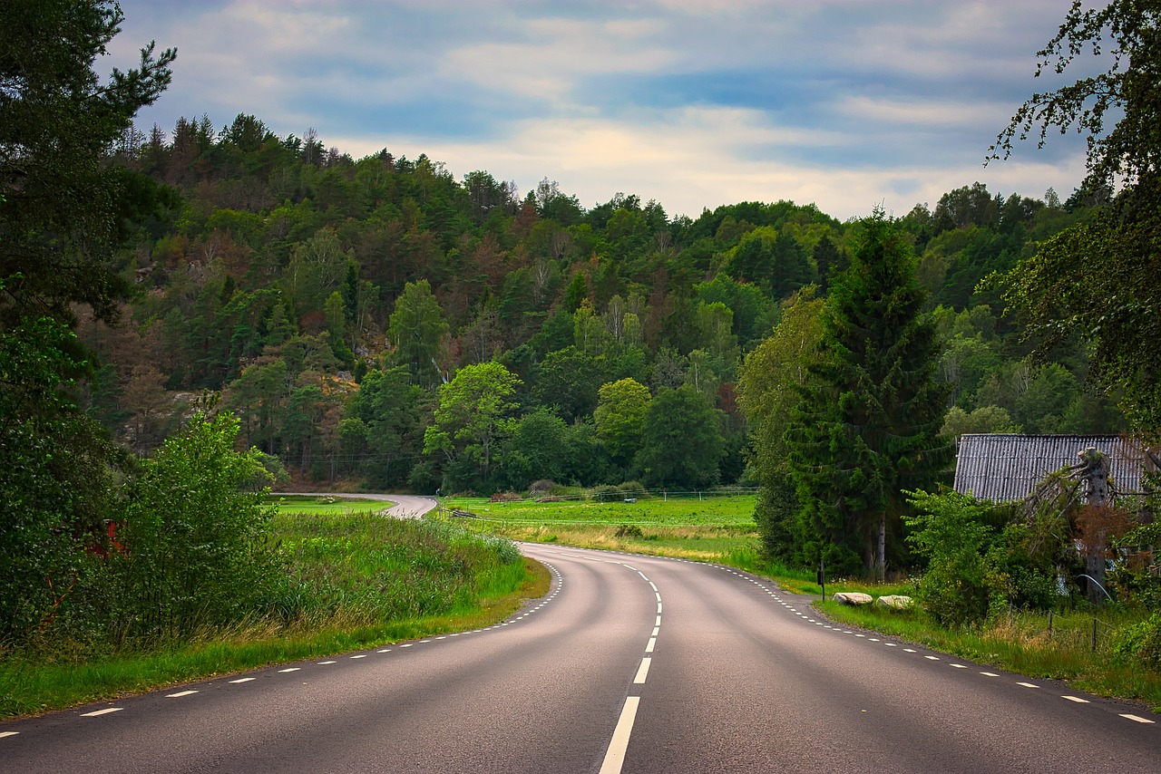 Tips for Organizing a Pet-Friendly Road Trip